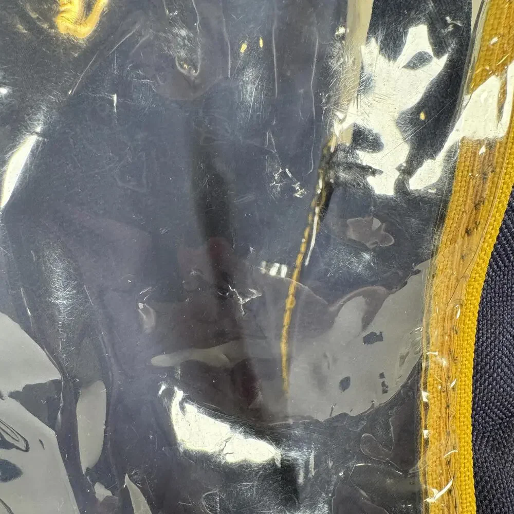 Y2K University of Michigan Backpack